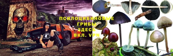 шишки Волосово