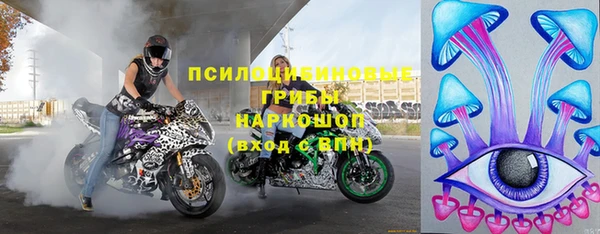 шишки Волосово